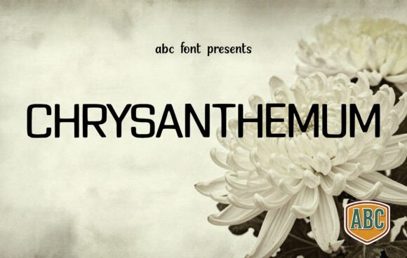 Chrysanthemum: A Timeless Slab Serif Font for Modern Design
