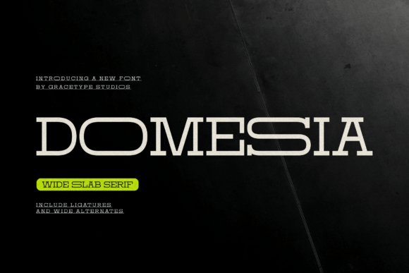 Domesia: A Versatile Script for Every Creative Project