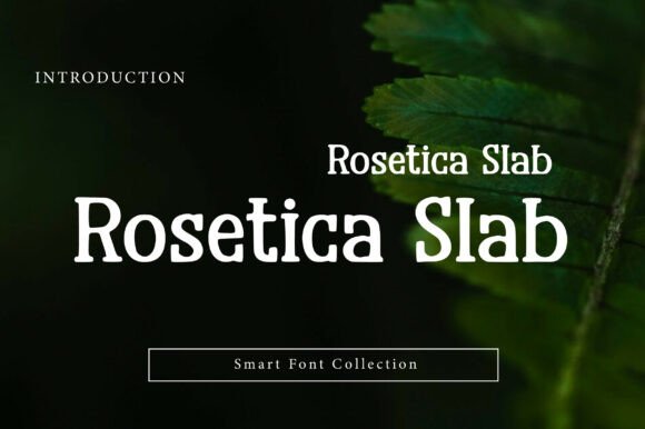 Exploring Rosetica Slab: A Bold and Elegant Display Font for Modern Design
